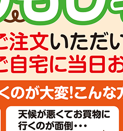 ����������z��