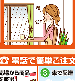 ����������z��