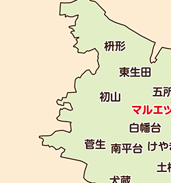 ����������z��