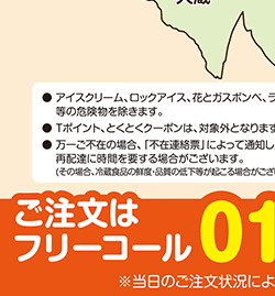 ����������z��